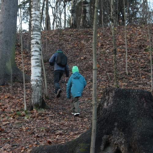 Photo #13758065