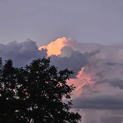 Photo #13758094