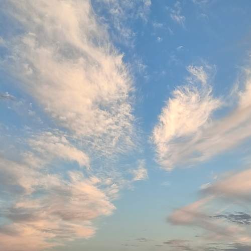 Photo #13758147