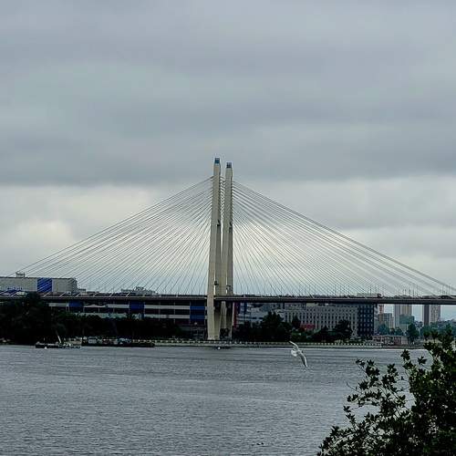 Photo #13758156