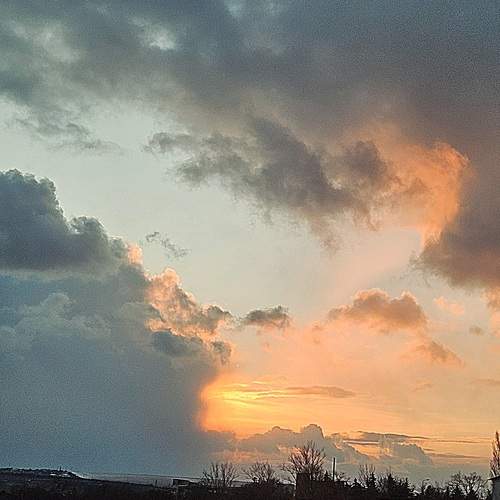 Photo #13758157