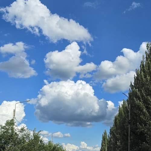 Photo #13758229