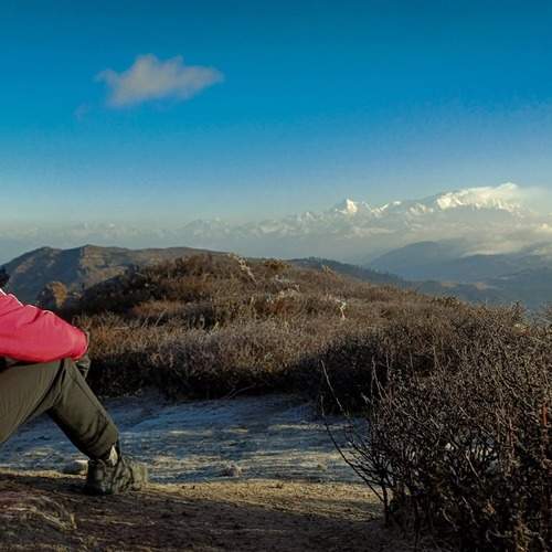 Photo #13758243