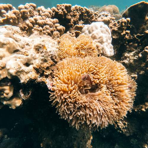 Photo #13758245