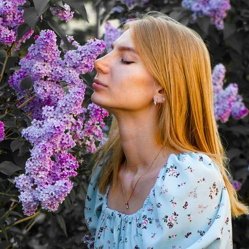 Photo #13758270