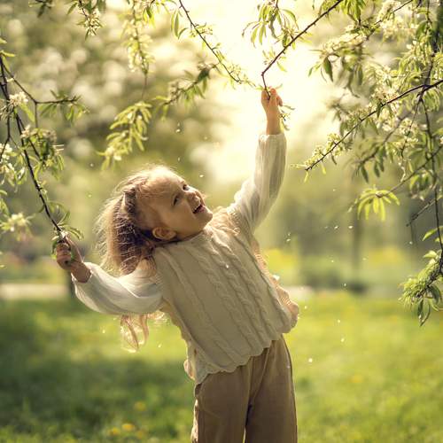 Photo #13758273