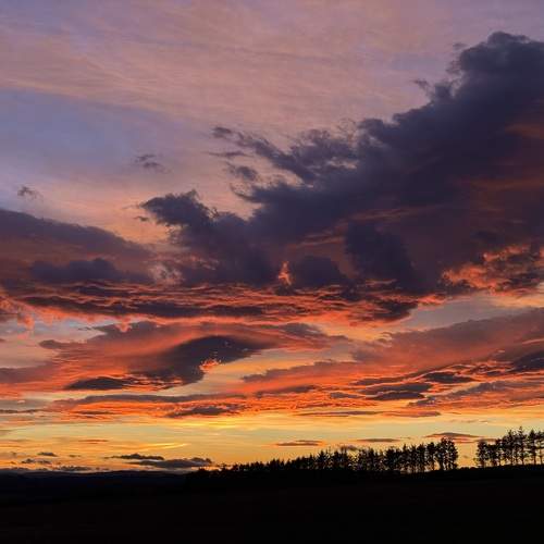 Photo #13758303
