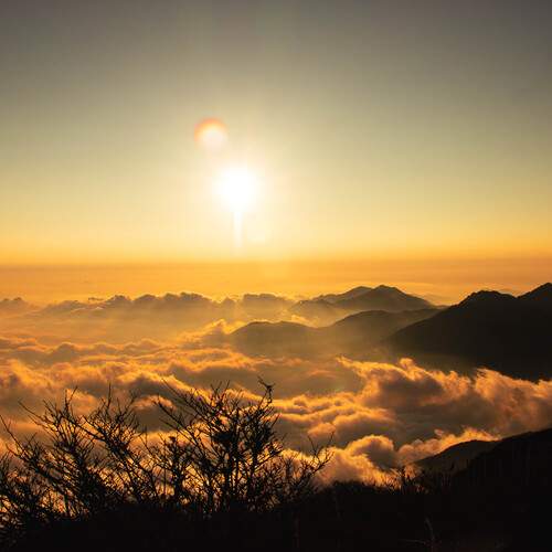 Photo #13758313