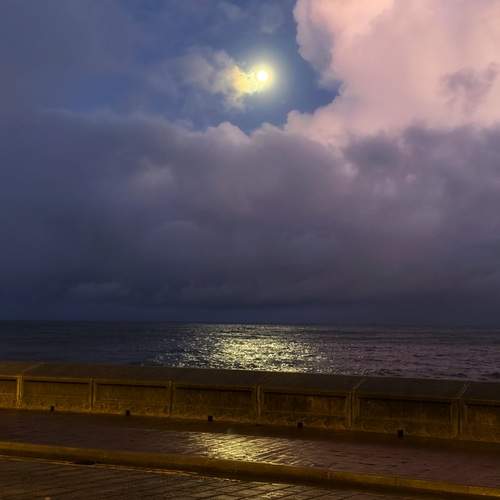 Photo #13758327