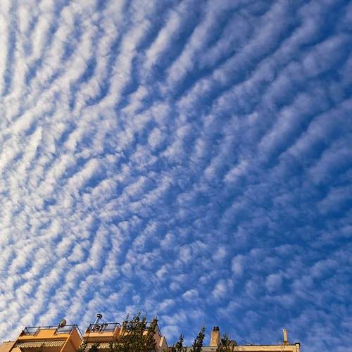 Photo #13758347