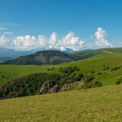 Photo #13758370