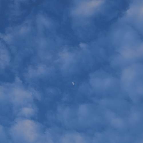 Photo #13758387