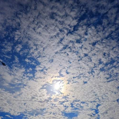 Photo #13758389