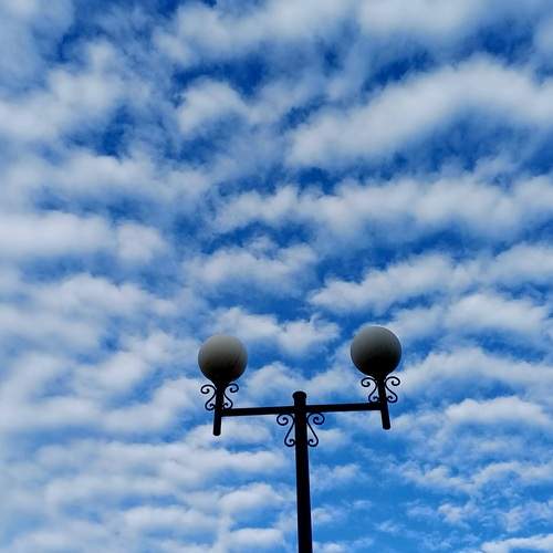 Photo #13758436