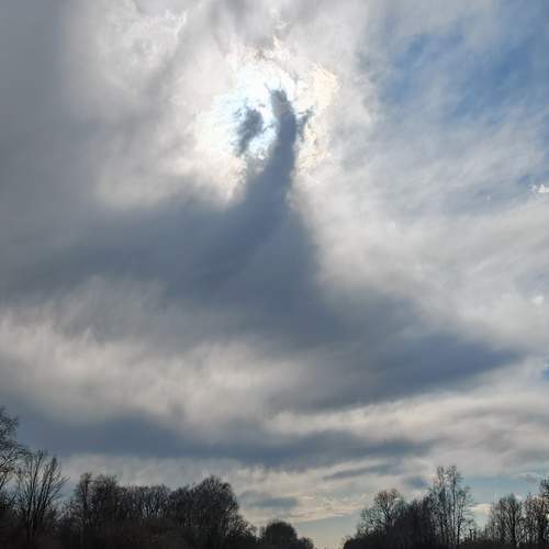 Photo #13758455