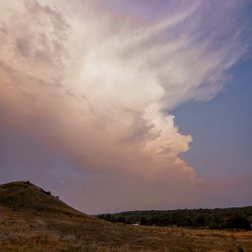 Photo #13758473