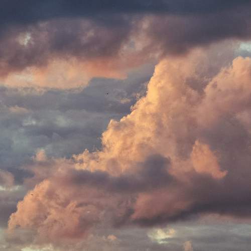 Photo #13758480