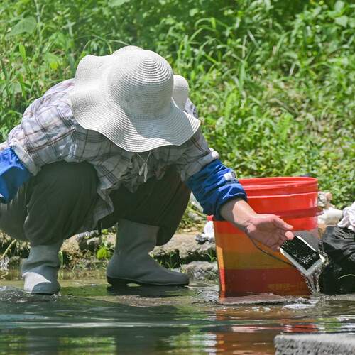 Photo #13758496