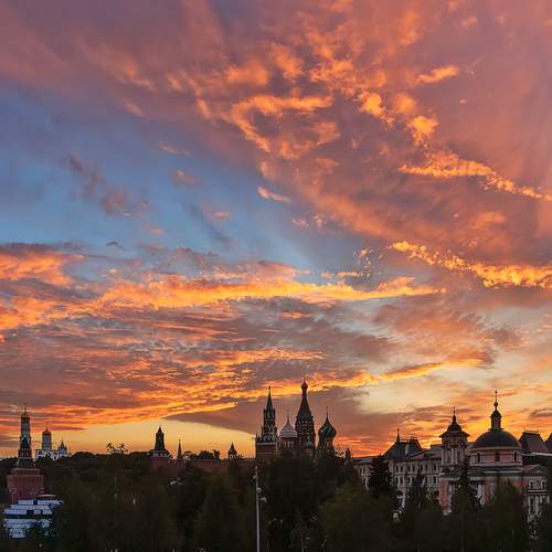 Photo #13758500