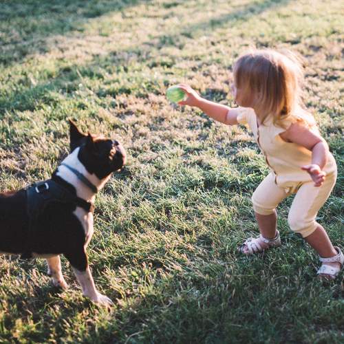 Photo #13758503
