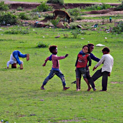 Photo #13758511