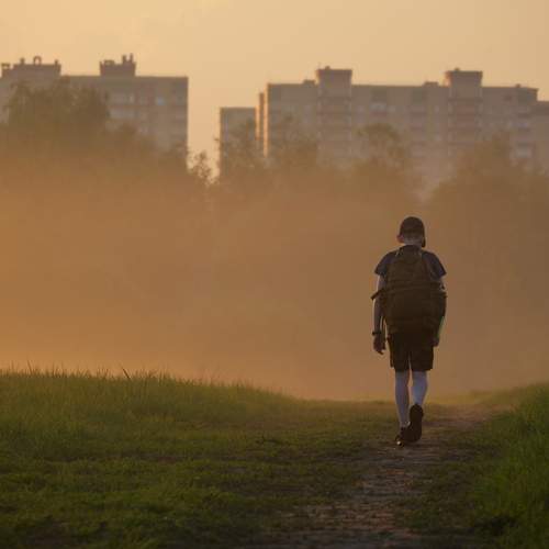 Photo #13758520