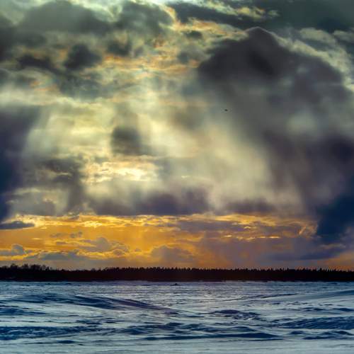 Photo #13758547