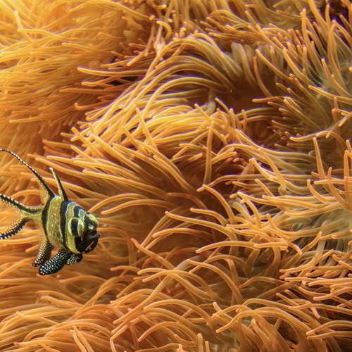 Photo #13758569