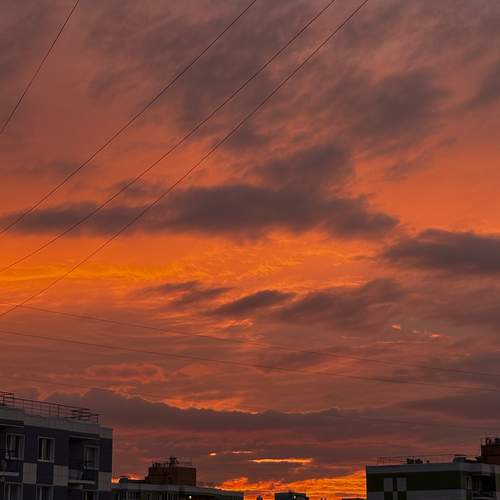 Photo #13758588