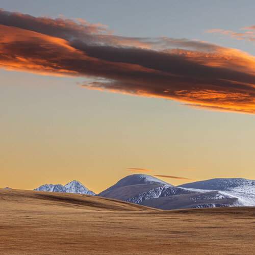 Photo #13758666