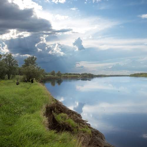 Photo #13758686