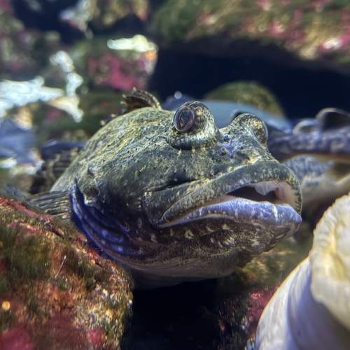 Photo #13758694
