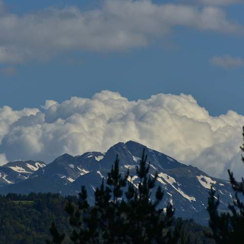 Photo #13758705