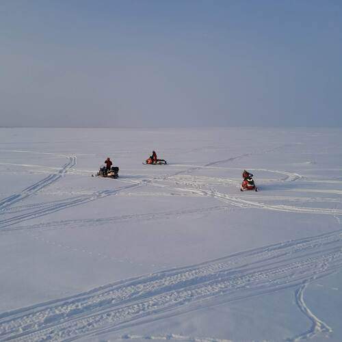 Photo #13758712