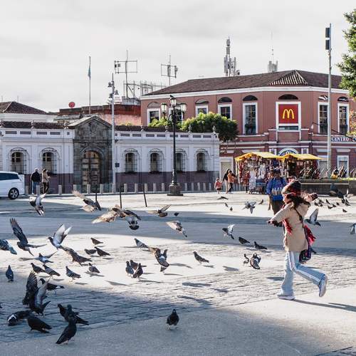 Photo #13758736