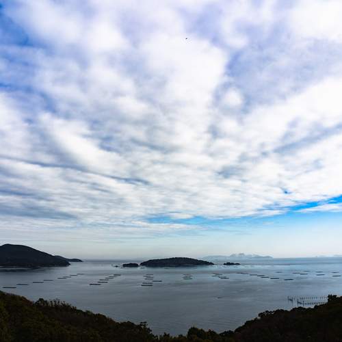 Photo #13758773