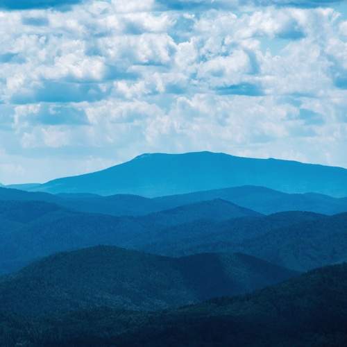 Photo #13758808