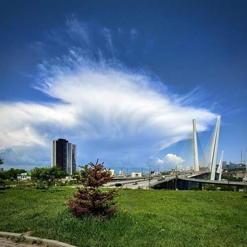 Photo #13758821