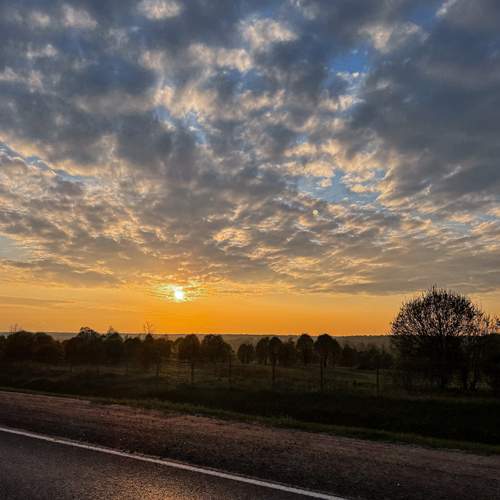 Photo #13758827