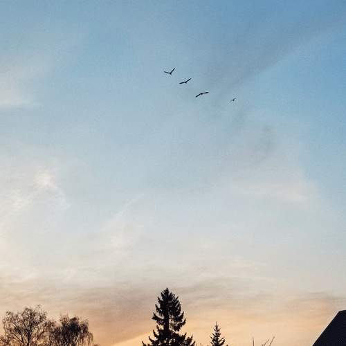Photo #13758873