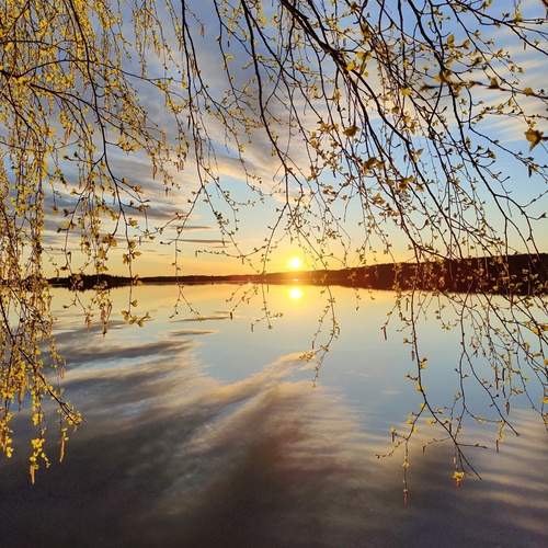 Photo #13758887