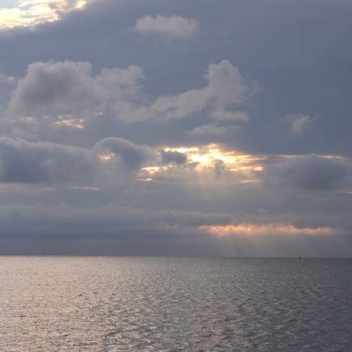 Photo #13758923