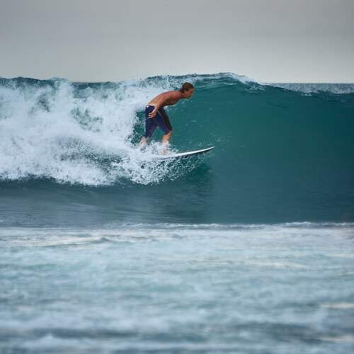 Photo #13758994