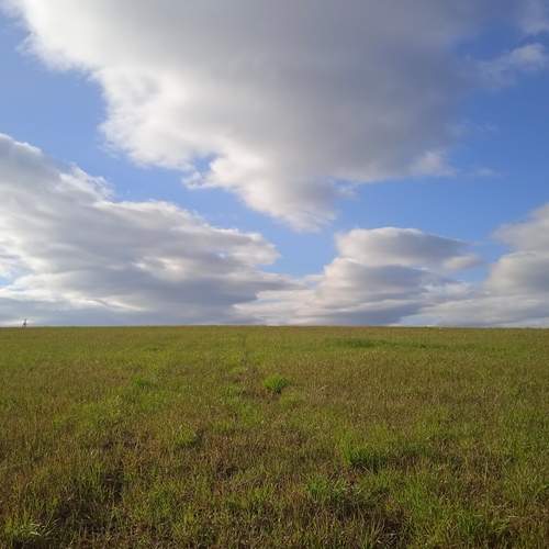 Photo #13759045