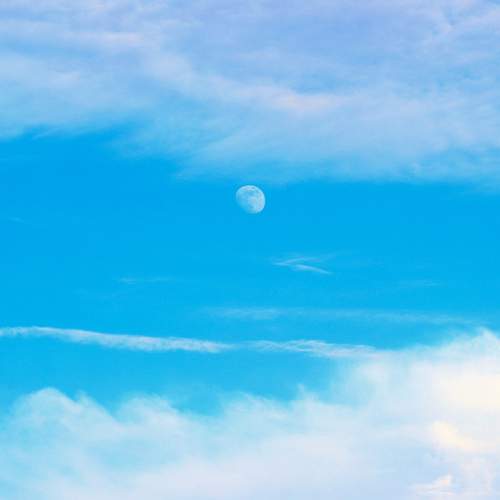 Photo #13759069