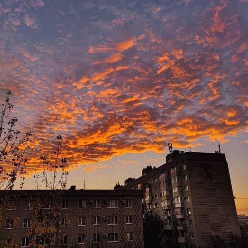 Photo #13759079