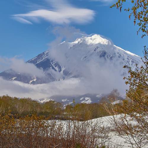 Photo #13759088