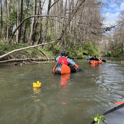 Photo #13759131