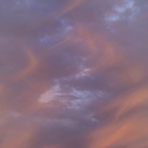 Photo #13759135
