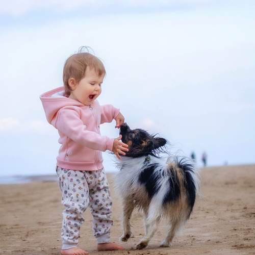 Photo #13759205